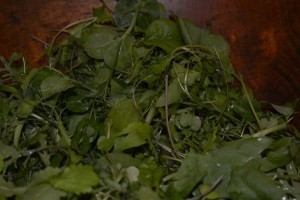 First home grown salad of the year.