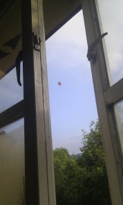 IMAG0293