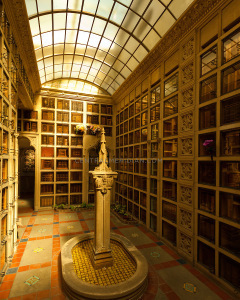 The Library of the Dead