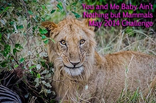  photo 11-oLwb61ncopy_zpsb239900c.jpg