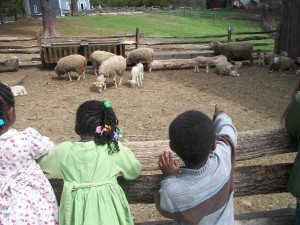 May 2014 Sturbridge and Zion's Adoption 040