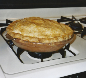 One of the recipes from the book. Look at that beautiful golden brown crust.