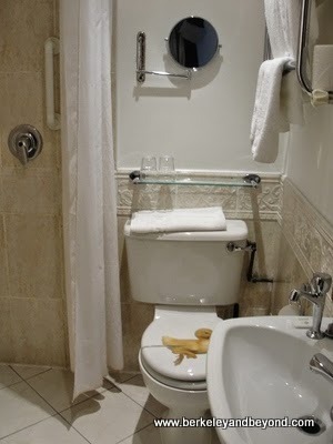 wet room bathroom in room 117 at Leeson Bridge House B&B in Dubllin, Ireland