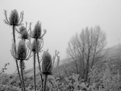 20120101-122526.jpg