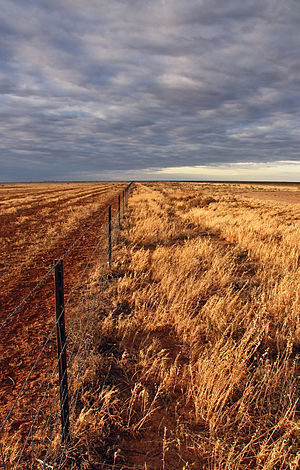 Drought on the Hay Plain.