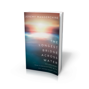 The Longest Bridge across Water_3D