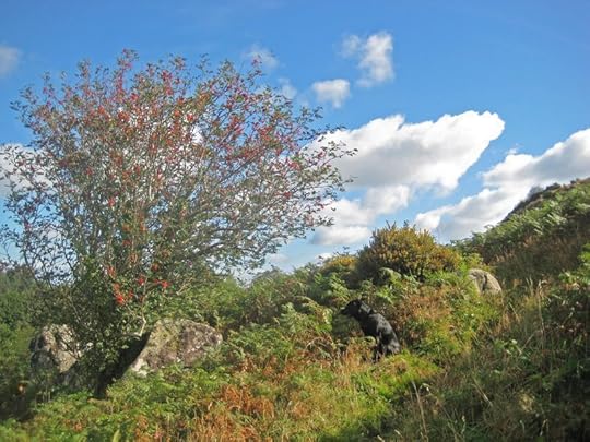 Nattadon Hill