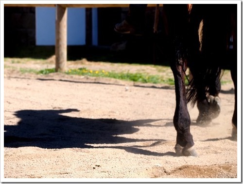 10 June 1 10-06-2013 10-18-34