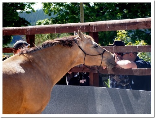 10 June 3 10-06-2013 10-49-19