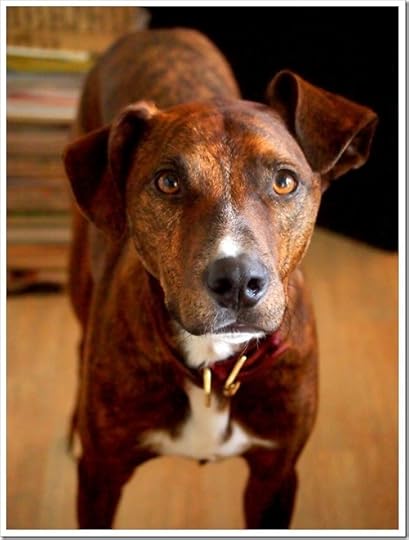 10 June 5 09-06-2013 10-27-42