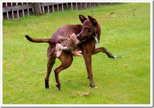 10 June 7 09-06-2013 08-19-47