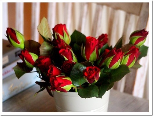 10 June 15 09-06-2013 10-27-21