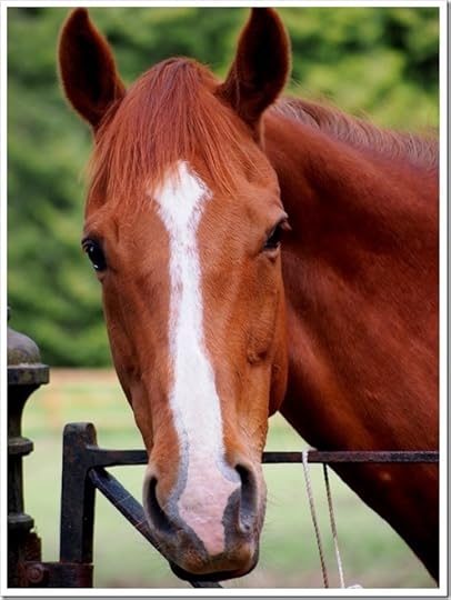 10 June 18 24-05-2013 15-04-35