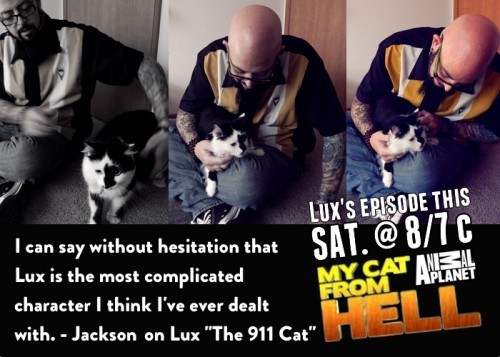 Jackson_Galaxy_Lux_911_cat