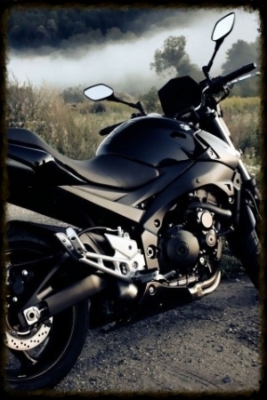  photo de08487f-7b59-4575-9c73-cf67e66db30d.jpg