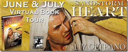 Sandstorm Heart Banner 450 x 169
