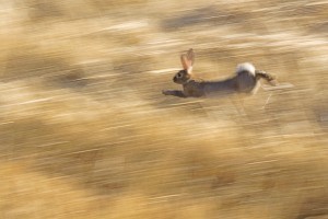 http://www.dreamstime.com/-image20243135