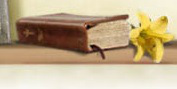 Bible&Lily