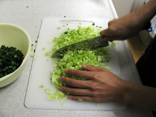 cabbage