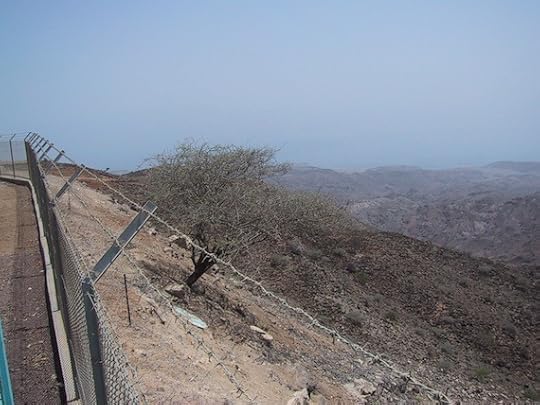Dry, hot, barren Djibouti.