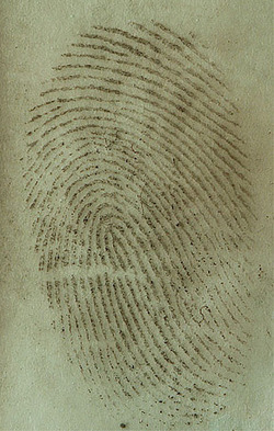fingerprint
