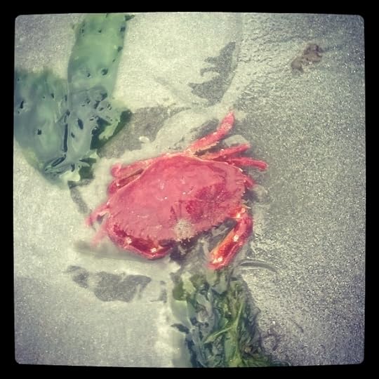 InstagramCapture_6e665048-7cb3-4414-a153-0309edaf90d0_jpg
