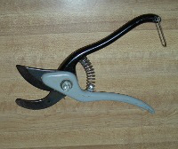 Bambi uses this