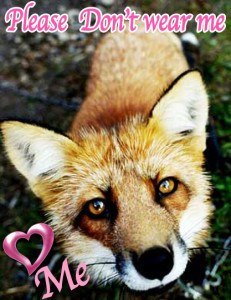 Say-No-to-fox-fur-animal-rights-10464521-417-540