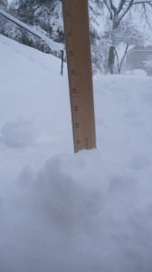 snow 019