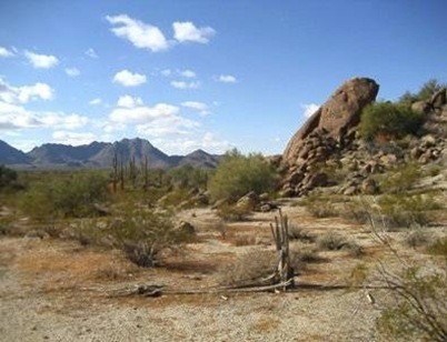 clip_image002