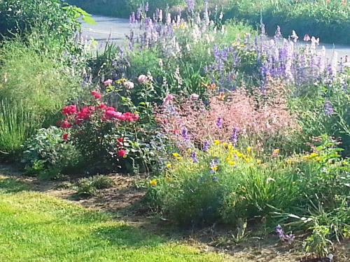 Flower Bed along the road 8