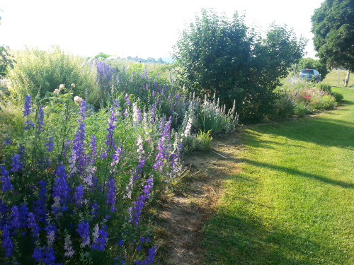 Flower bed along road 4