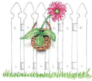 fence-with-flower
