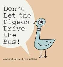 pigeon