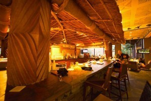 Disney World Hotel Bar Tour