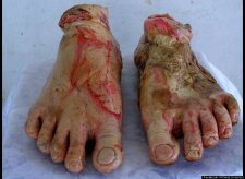 bodyparts 2