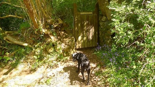 At the woodland gate