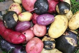 potatoes 2