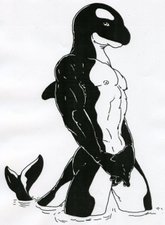 Photobucket Pictures, Images and Photos