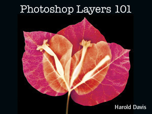 01-title-layers101