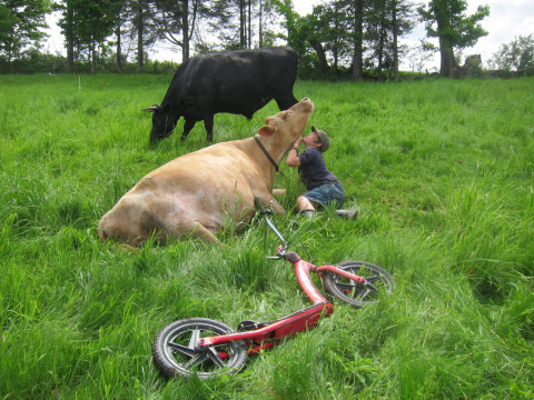 Fin and the cream machine