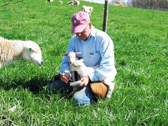 Richard Works Lambs1X