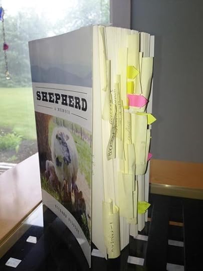 Shepherd mauled2x