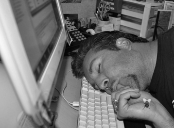 ned asleep at computer