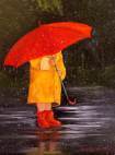 rain