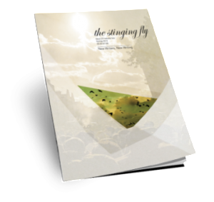 Issue_027_cov_0