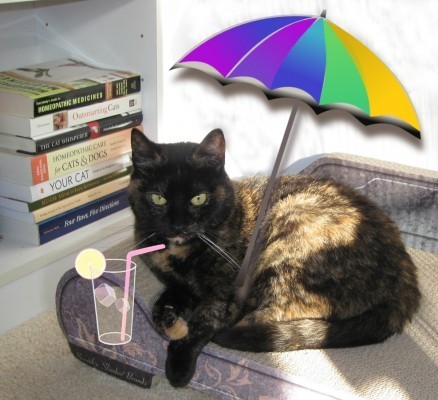 cat_with_books