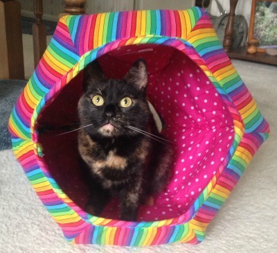 The_Cat_Ball