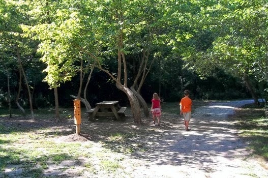 Hiking Trails in Indiana