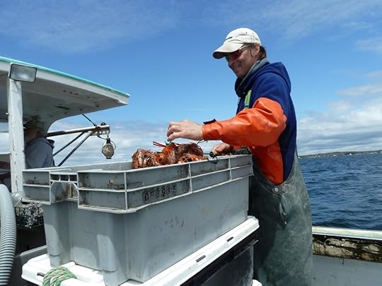 Sternman Cage prepares a bag of bait to put in a lobster trap.